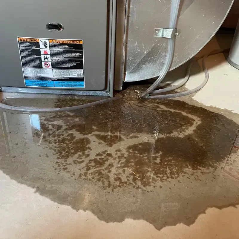 Appliance Leak Cleanup in West Raleigh, NC